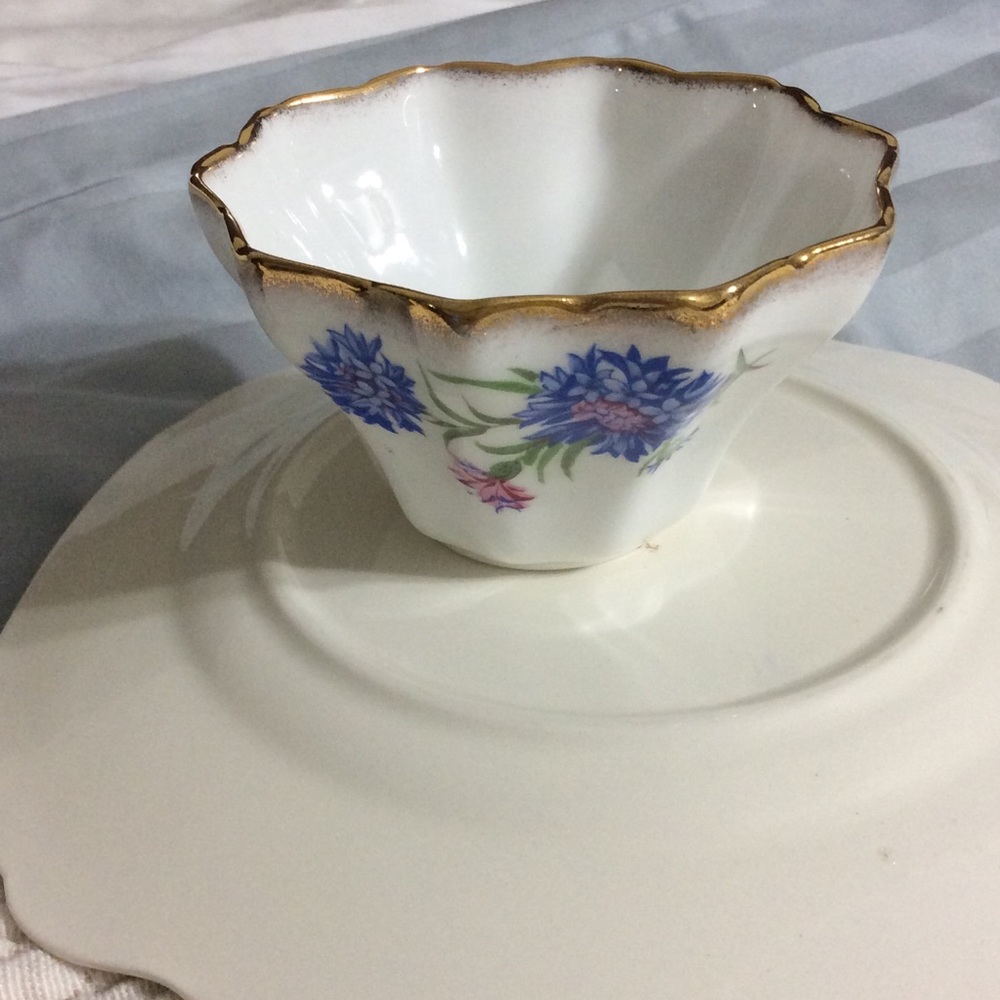 Salisbury Bone China England marked # vintage cup